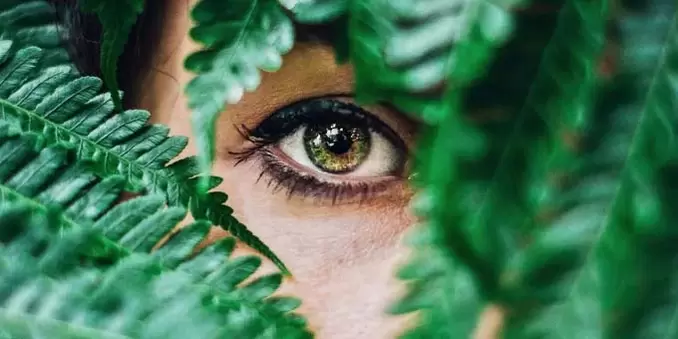 vederea și exerciții pentru refacerea acesteia